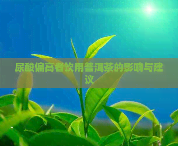 尿酸偏高者饮用普洱茶的影响与建议