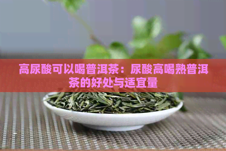 高尿酸可以喝普洱茶：尿酸高喝熟普洱茶的好处与适宜量
