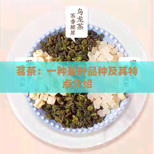 茗茶泛亚电竞：一种茶叶品种及其特点介绍(图1)